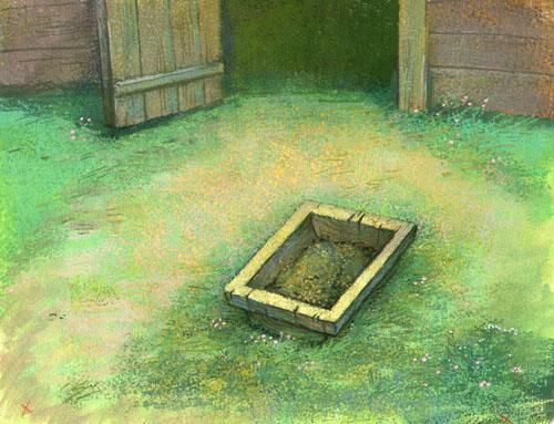 Корыто на траве