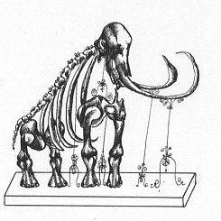 Скелет мамонта